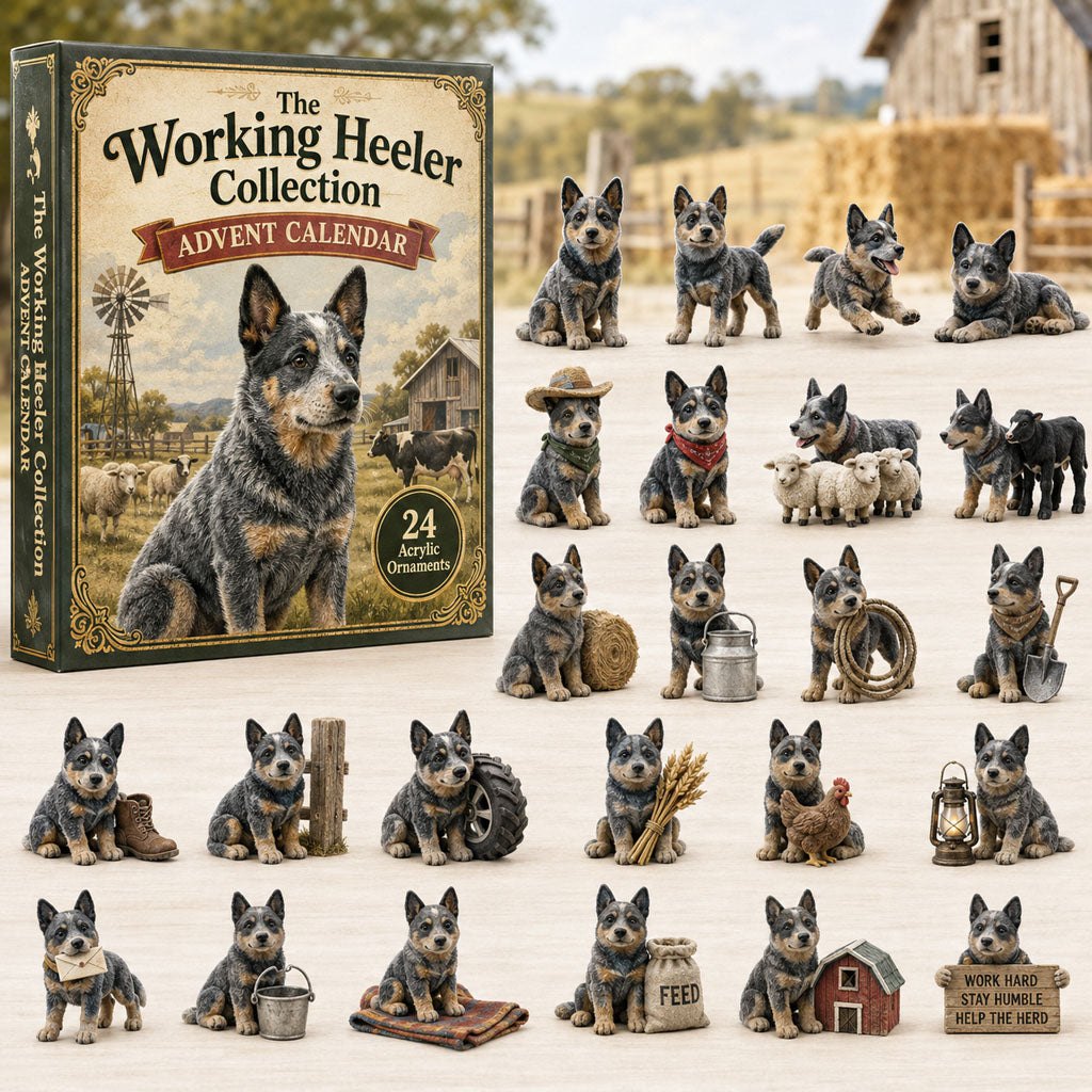 Working Heeler Collection advent calendar