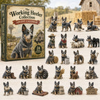 Working Heeler Collection advent calendar