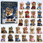 Yorkie Winter Fashion advent calendar